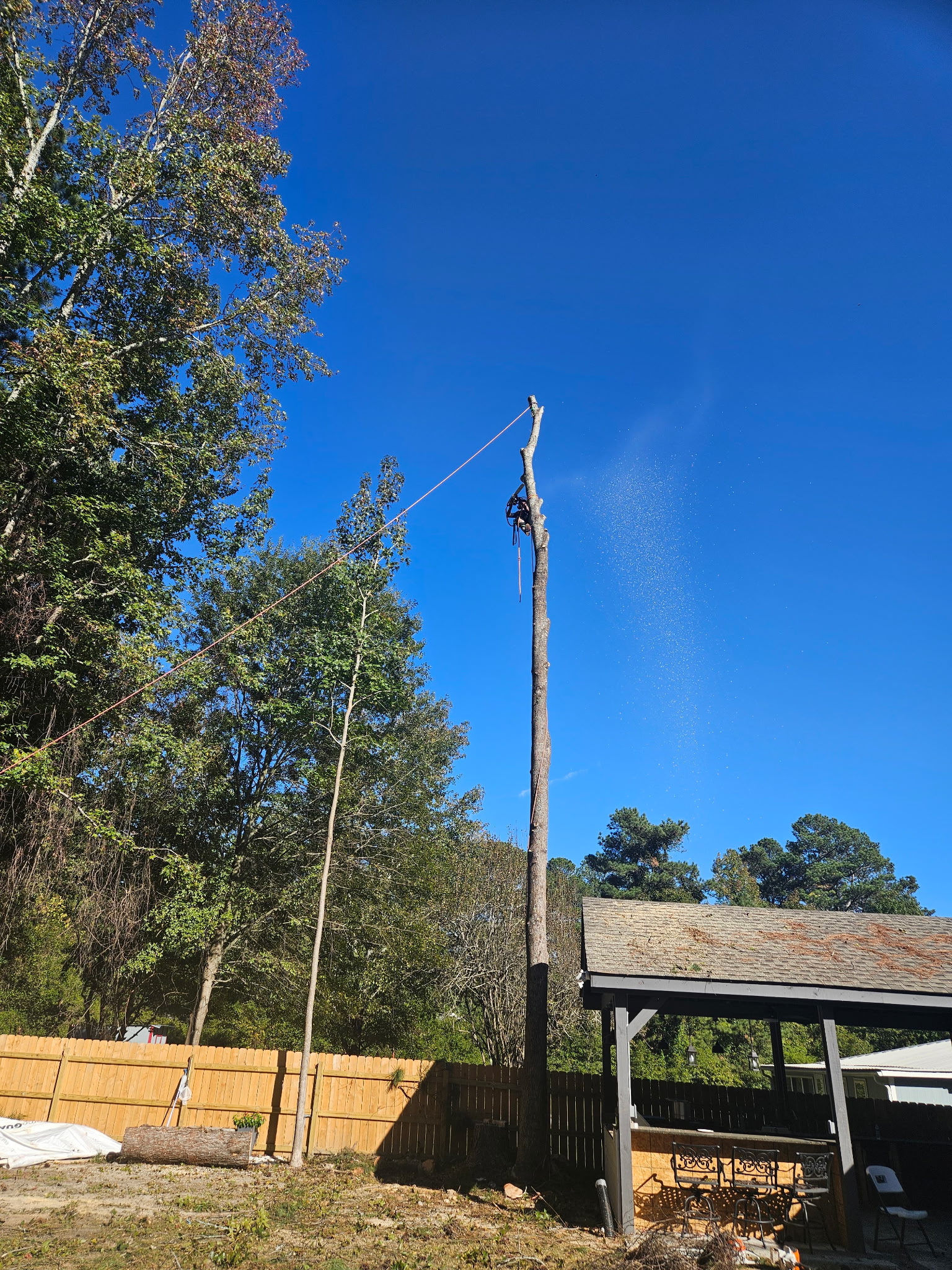 Residential tree removal with climbing and rigging equipment